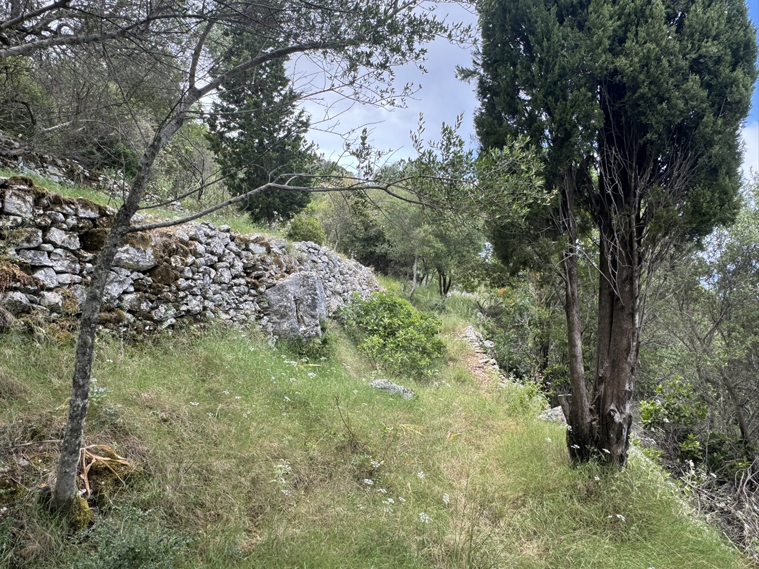 Terrain and landscape from plot 1 of land for sale in Ithaca Greece, Exoghi