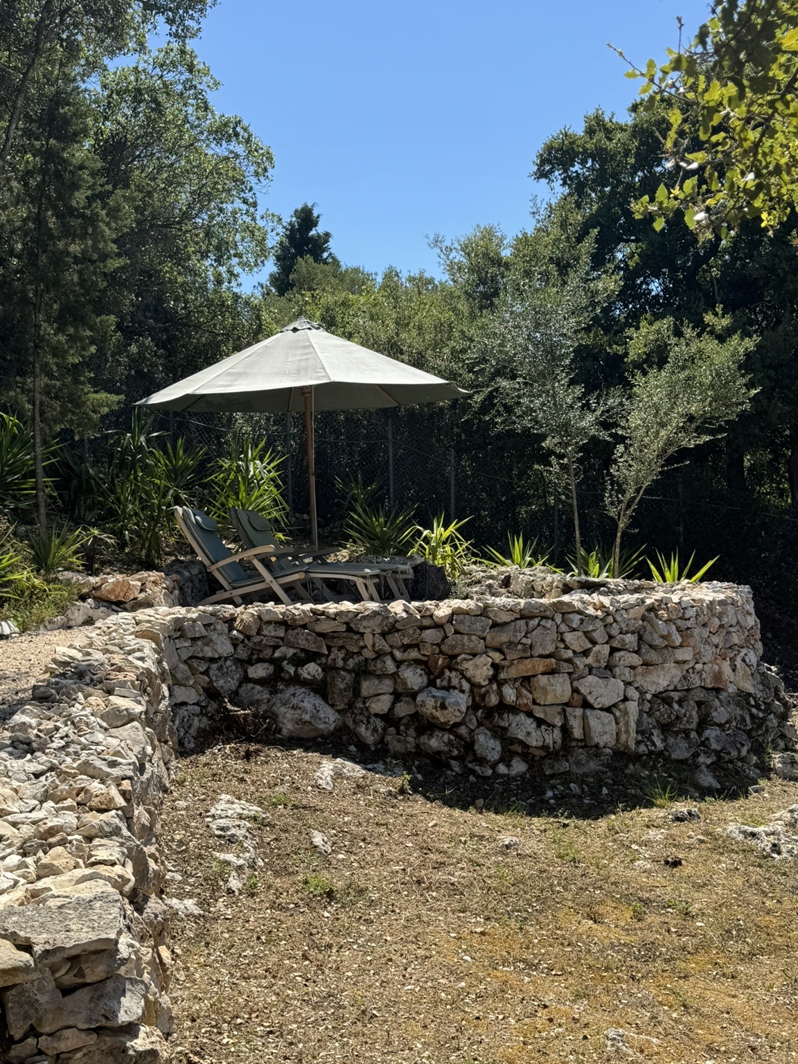 Garden of house for sale in Ithaca Greece, Stavros