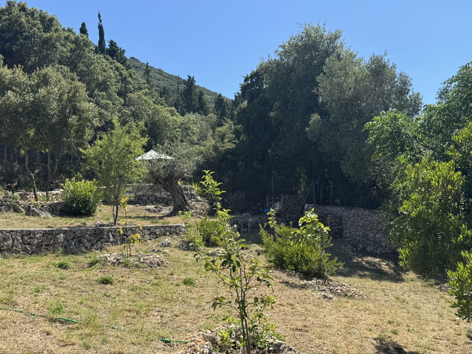 Garden of house for sale in Ithaca Greece, Stavros