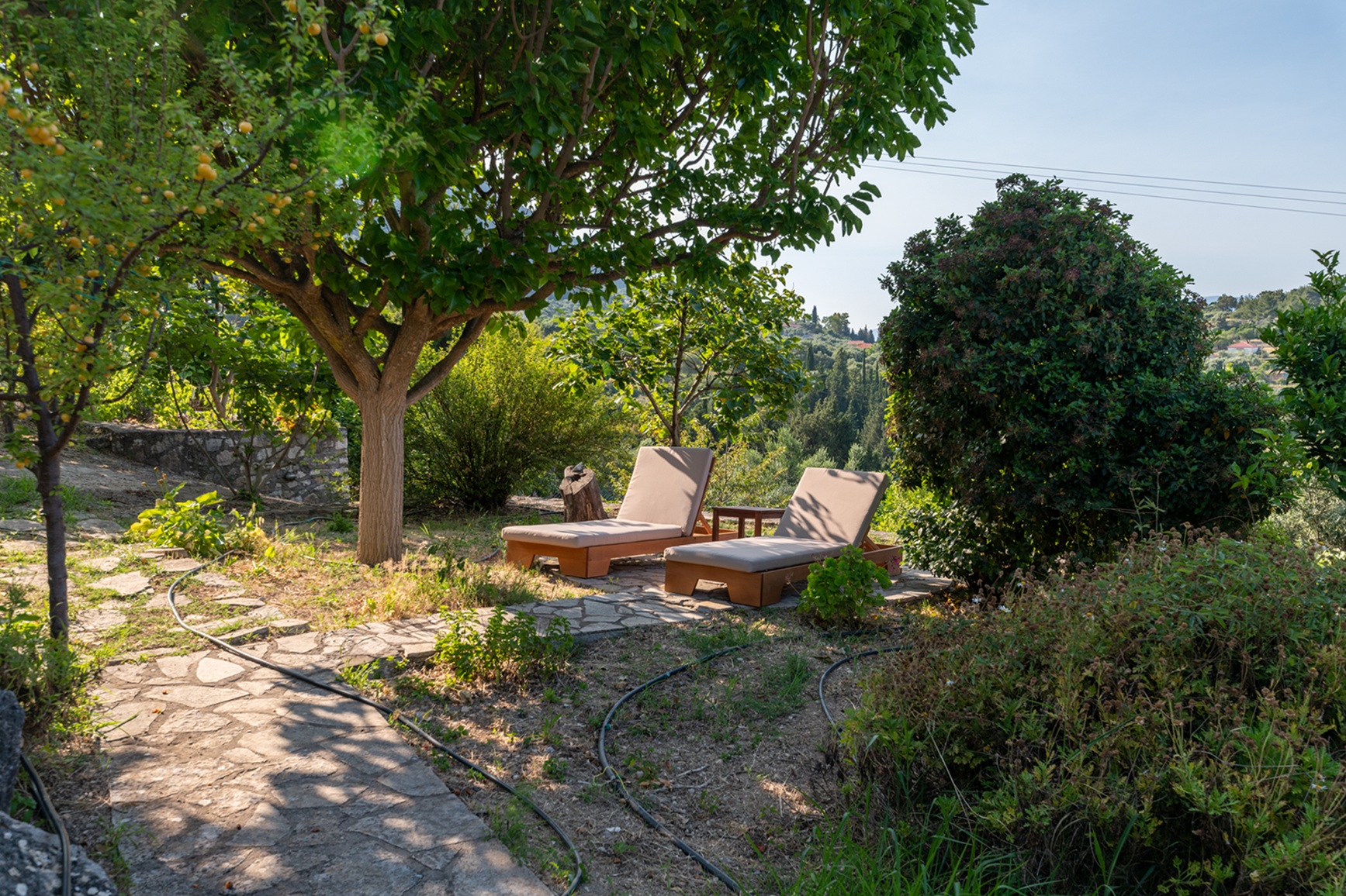 Garden area of house for rent in Ithaca Greece, Pilikata