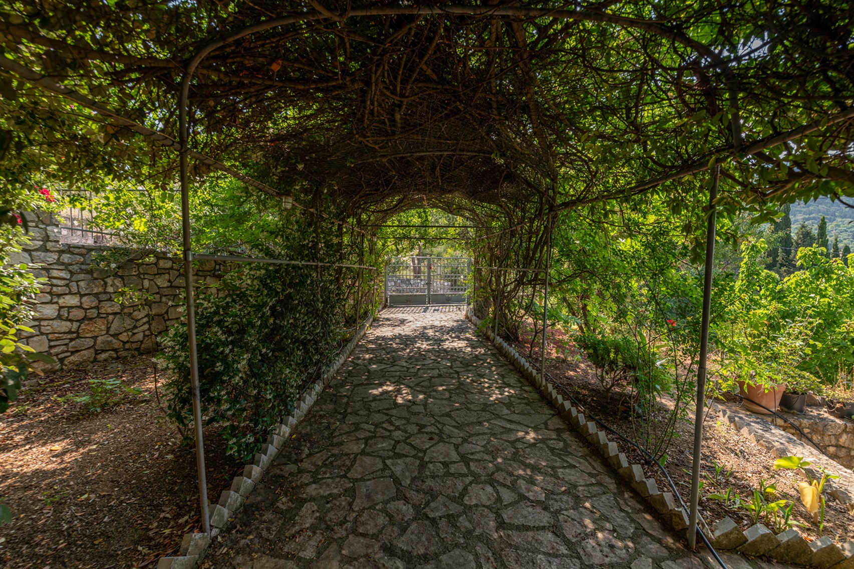 Alley of house for rent in Ithaca Greece, Pilikata