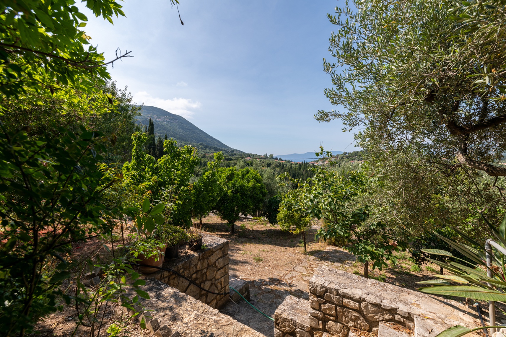 Outside area of house for rent in Ithaca Greece, Pilikata