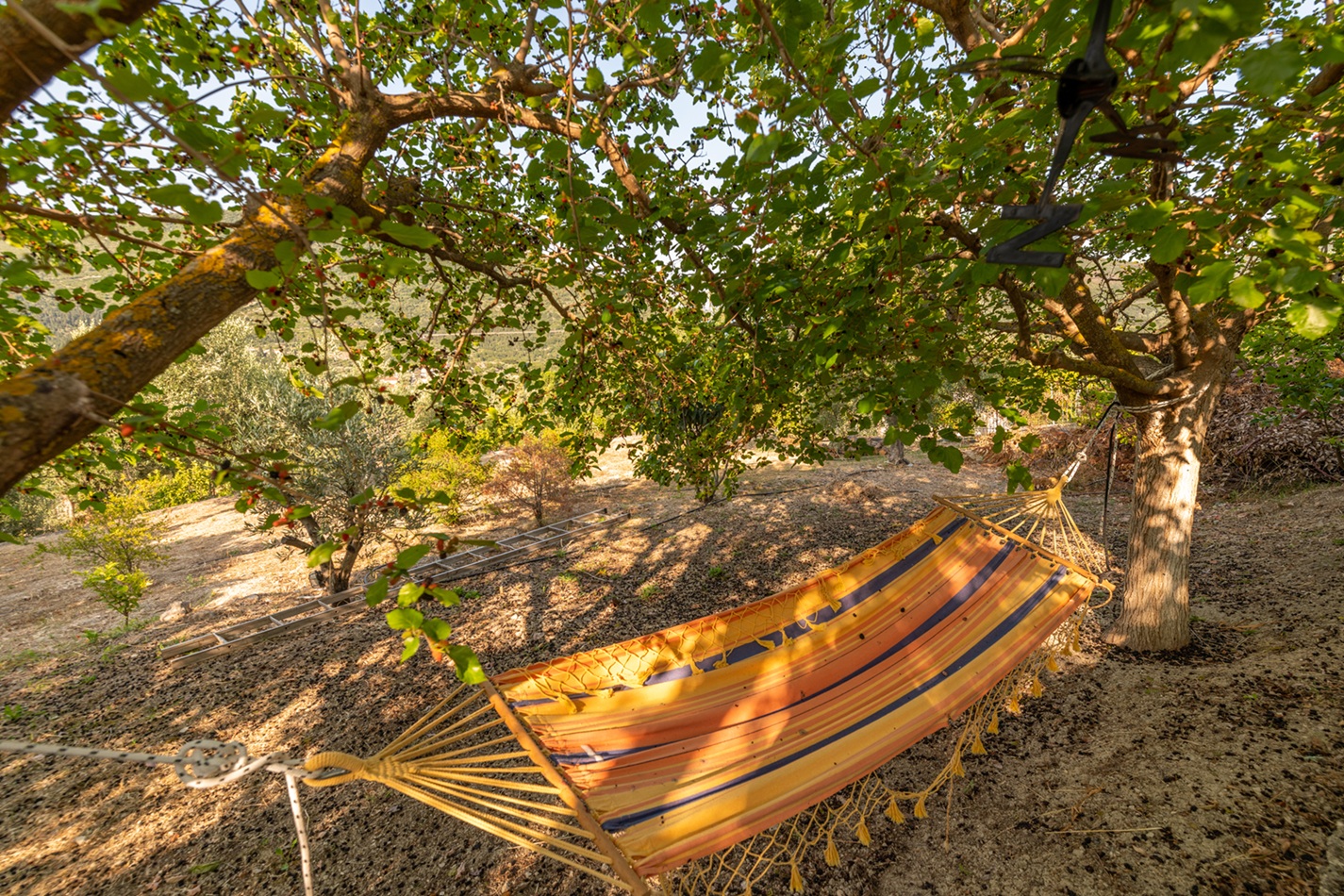 Hammock in garden of house for rent in Ithaca Greece, Pilikata