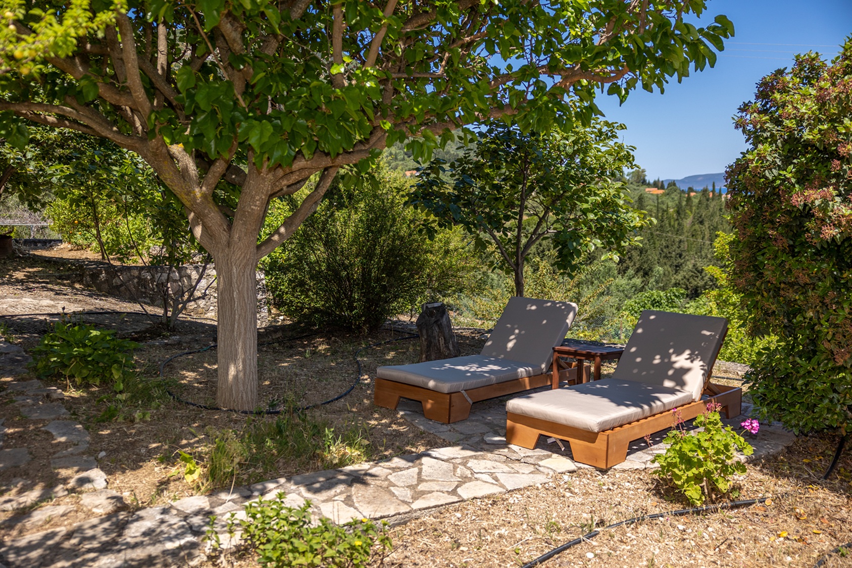 Garden area of house for rent in Ithaca Greece, Pilikata