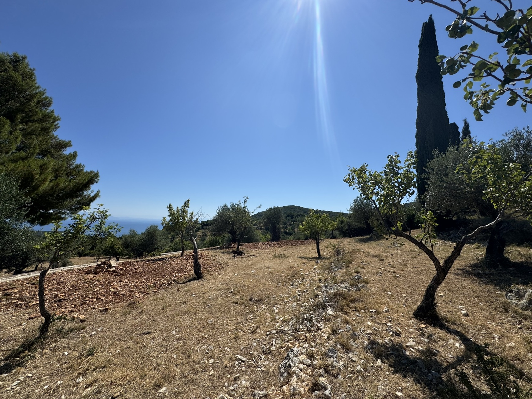 Terrain and landscape of land with building license for sale in Ithaca Greece, Vathi