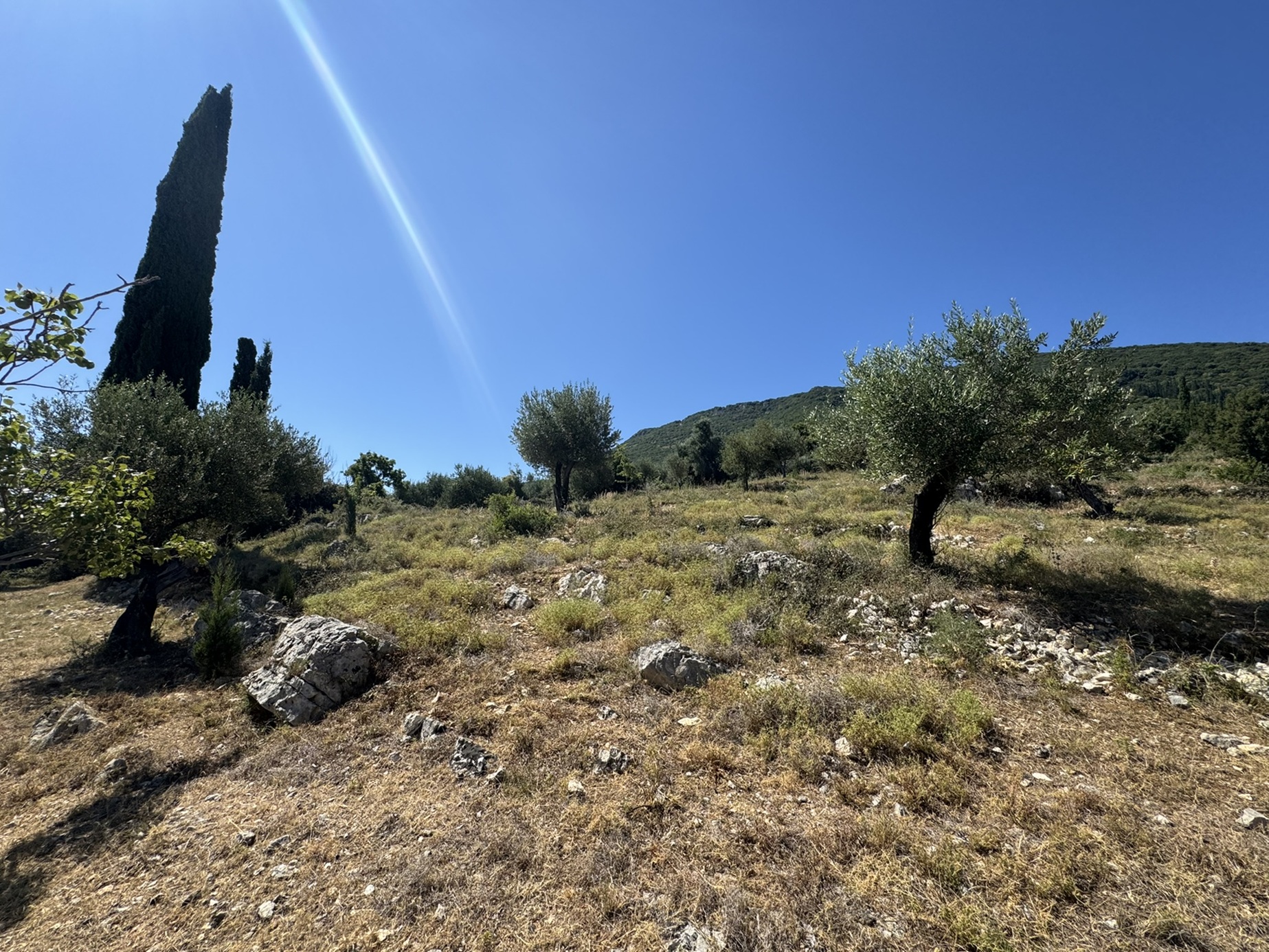 Terrain and landscape of land with building license for sale in Ithaca Greece, Vathi
