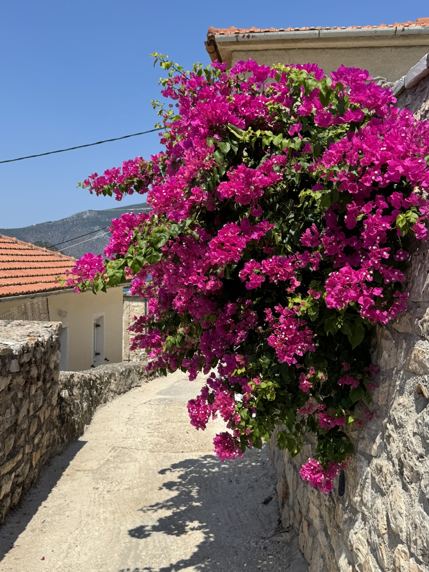 Access footpath to house for sale in Ithaca Greece, Vathi