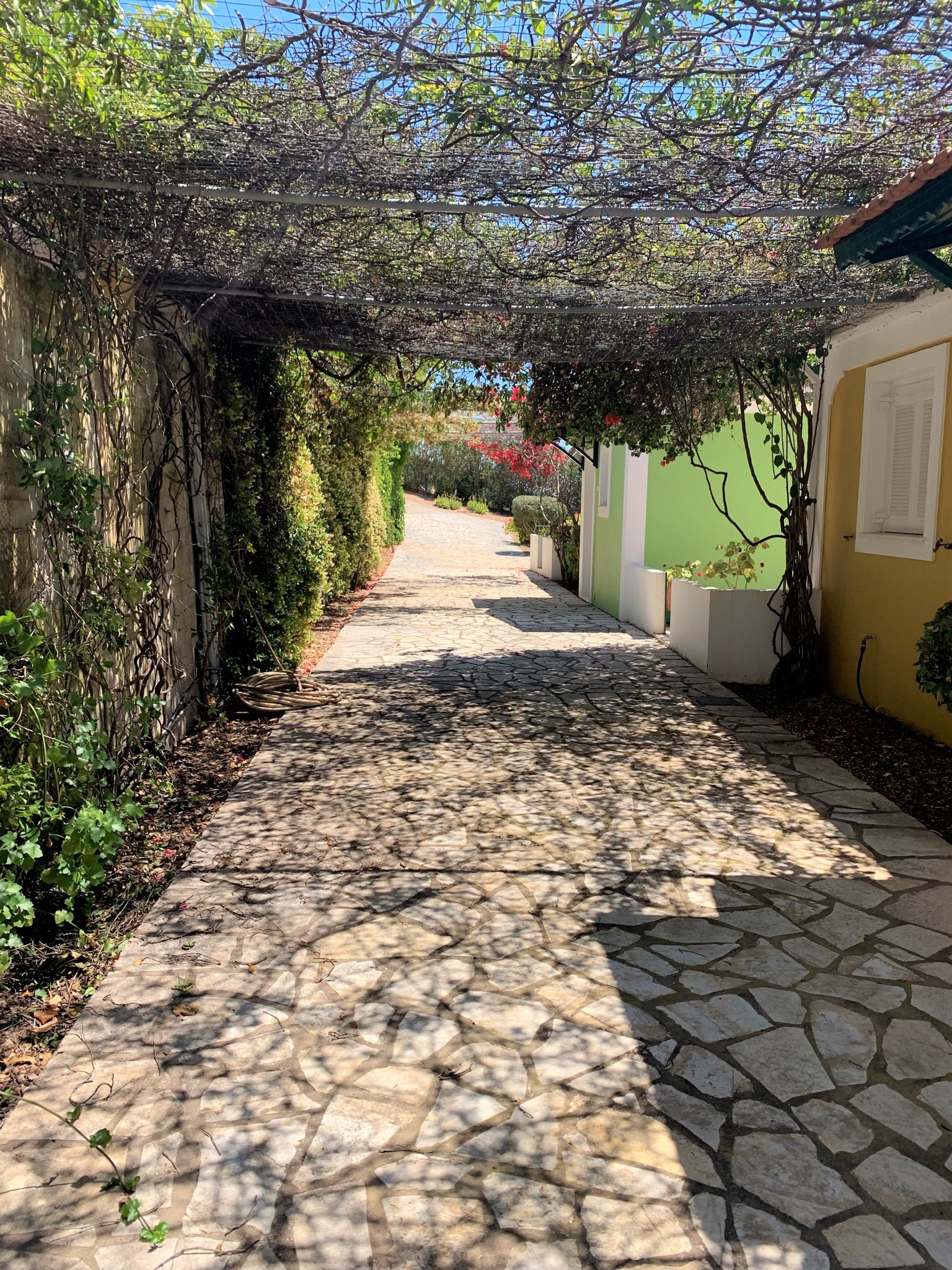 Outside area of cottages for sale in Ithaca Greece, Stavros