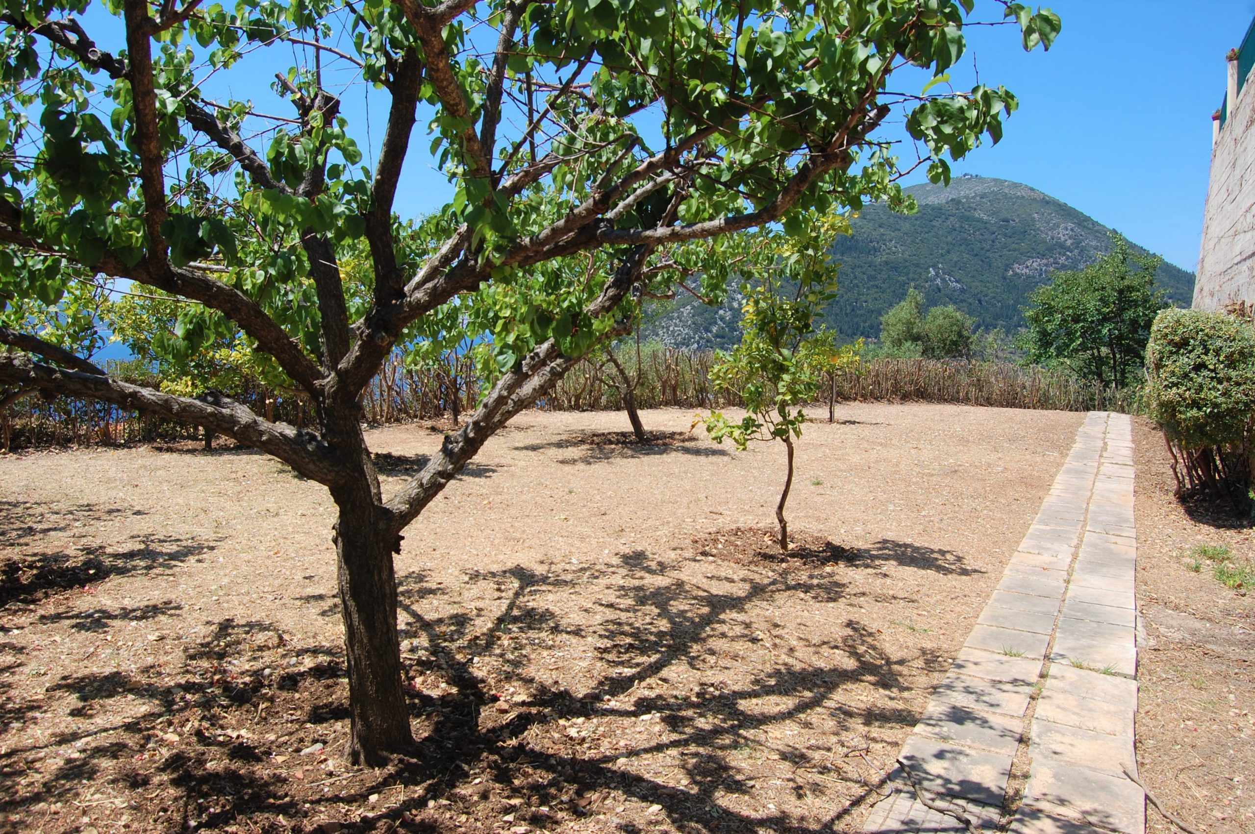 Exterior areas of cottages for sale in Ithaca Greece, Stavros