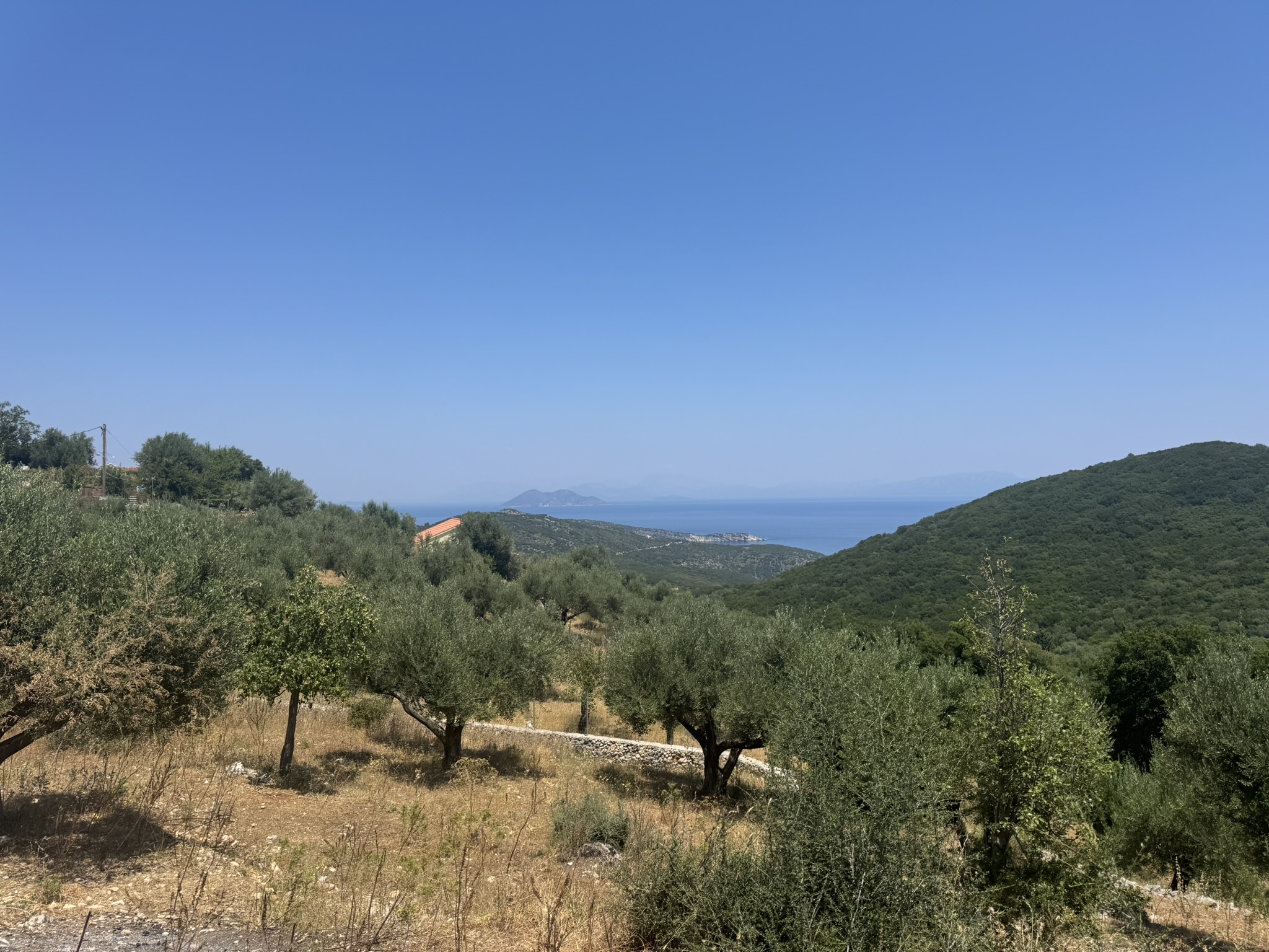 Olive groves and sea views of land with building license for sale in Ithaca Greece, Vathi
