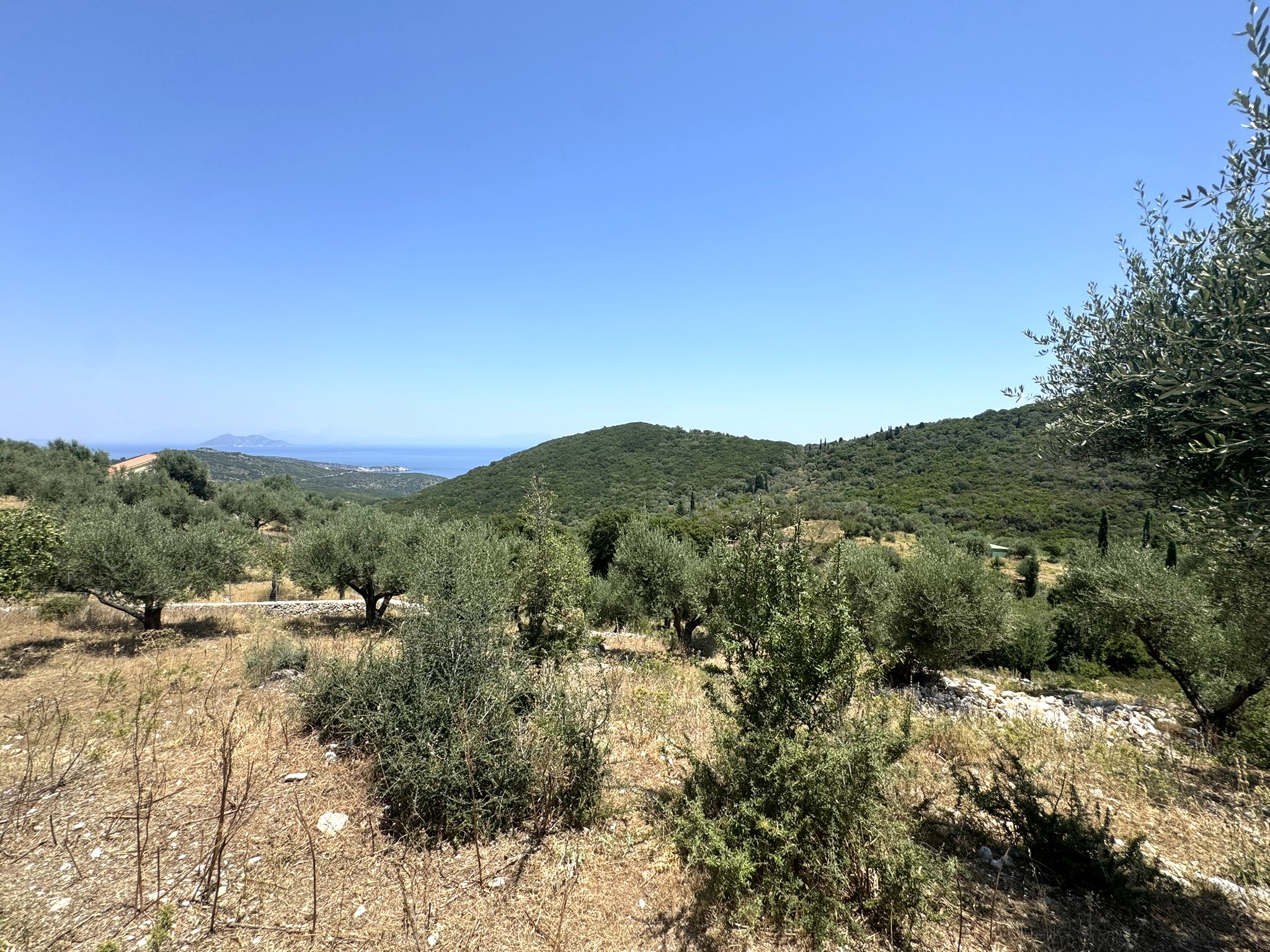 Terrain and sea views of land with building permit for sale in Ithaca Greece, Vathi