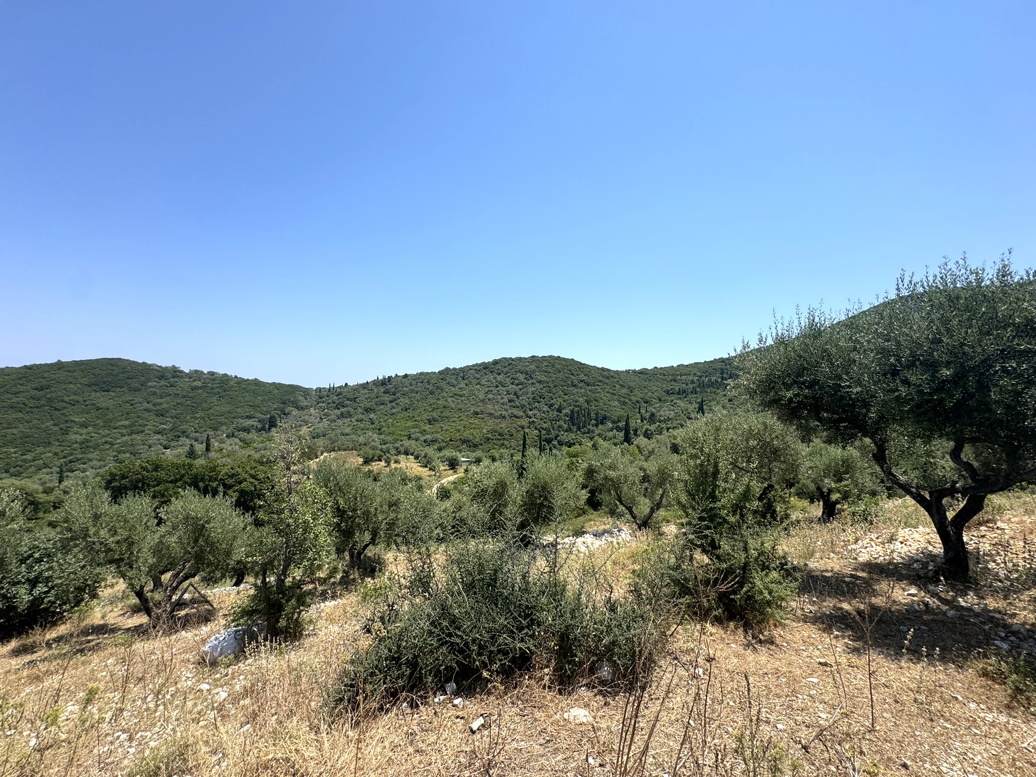Terrain and landscape of land with building license for sale in Ithaca Greece, Vathi