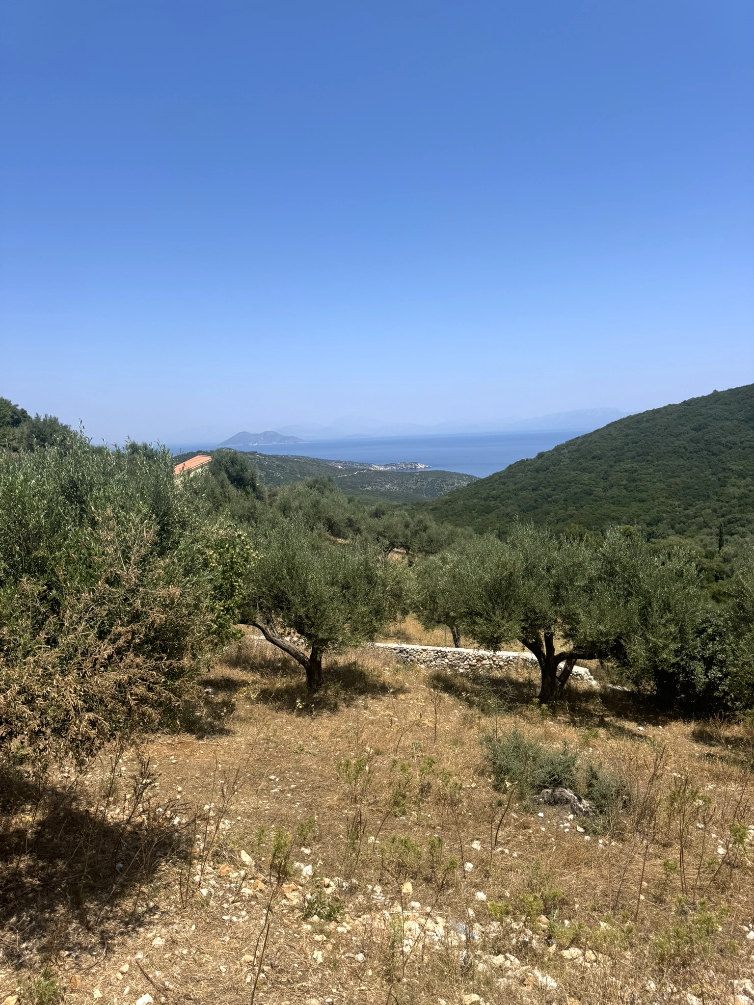 Terrain and sea views of land with building permit for sale in Ithaca Greece, Vathi