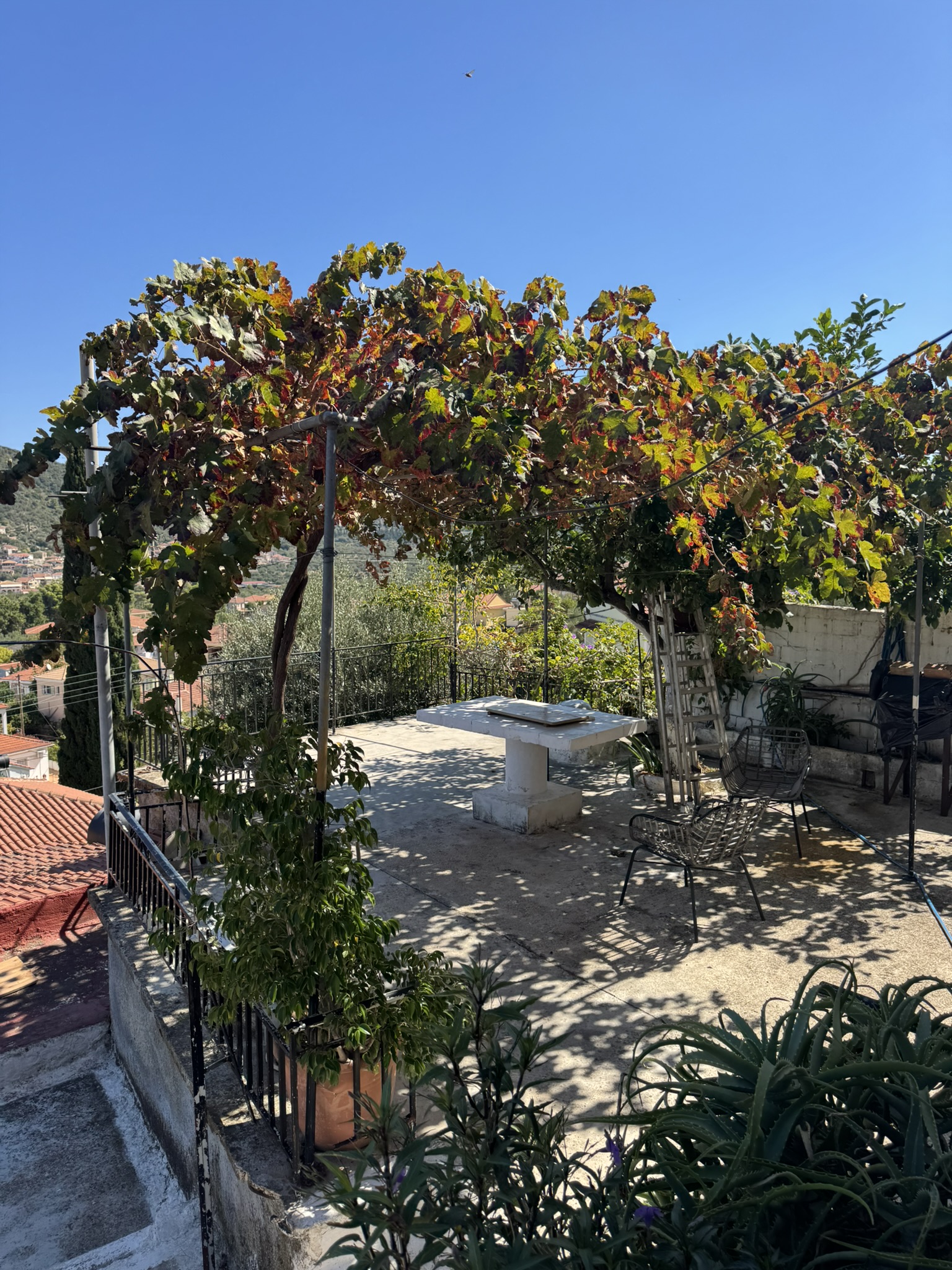 Outside area of house for sale in Ithaca Greece, Vathi