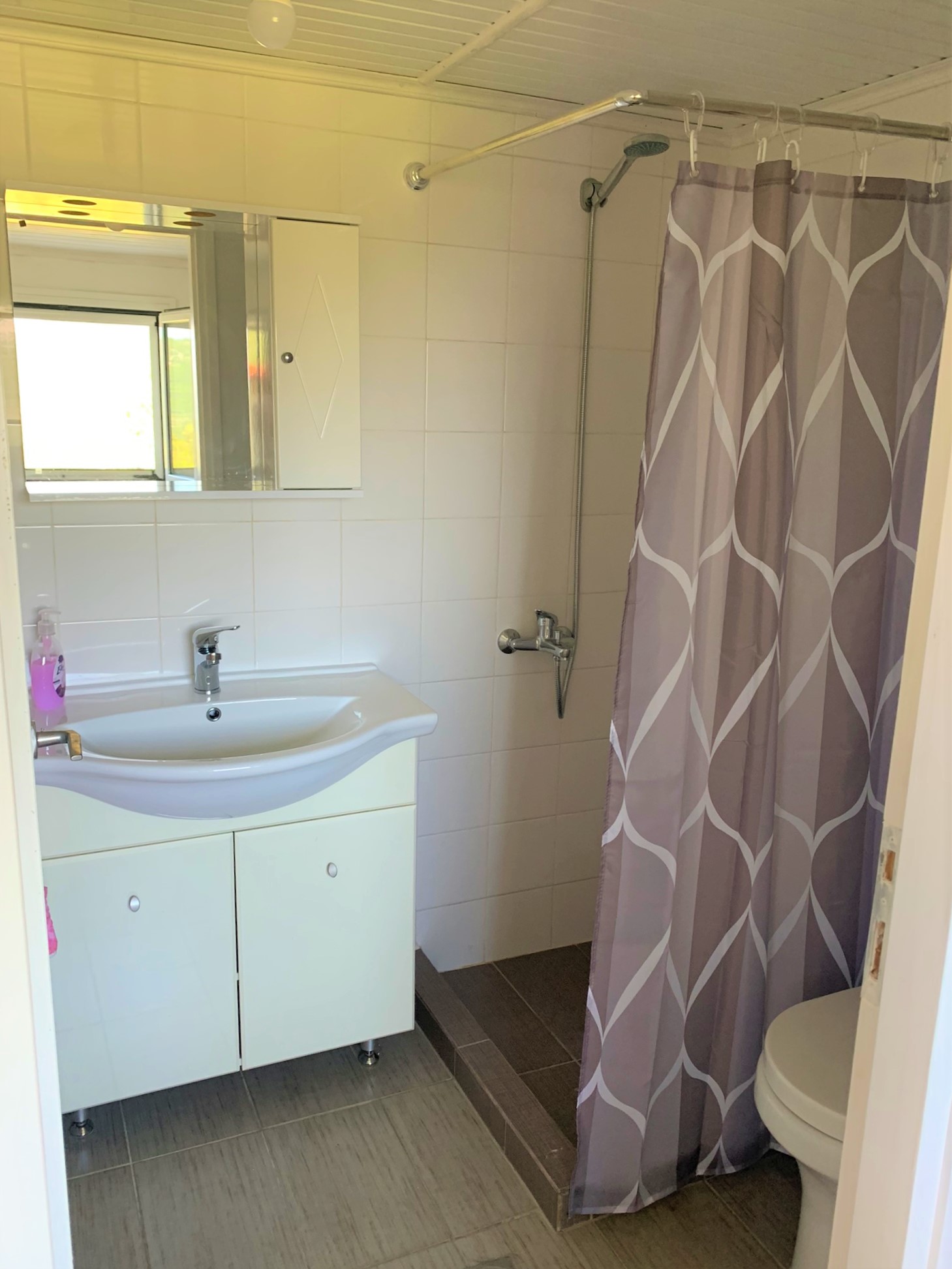 Bathroom of house for sale in Ithaca Greece, Platrithyas