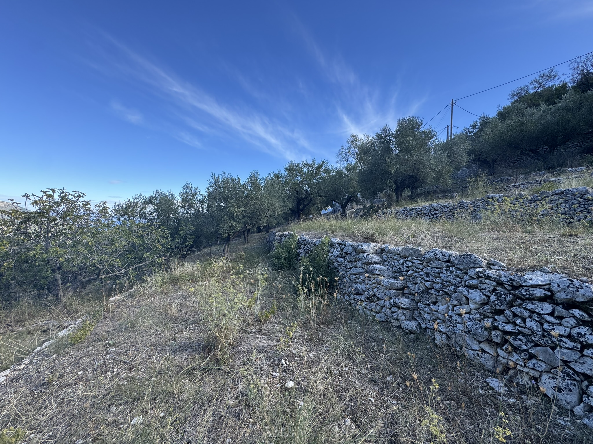 MV Properties, ithaca greece real estate, land for sale in ithaca, IDMV025PER pic 4 Terrain and landscape of land for sale in Ithaca Greece, Perachori