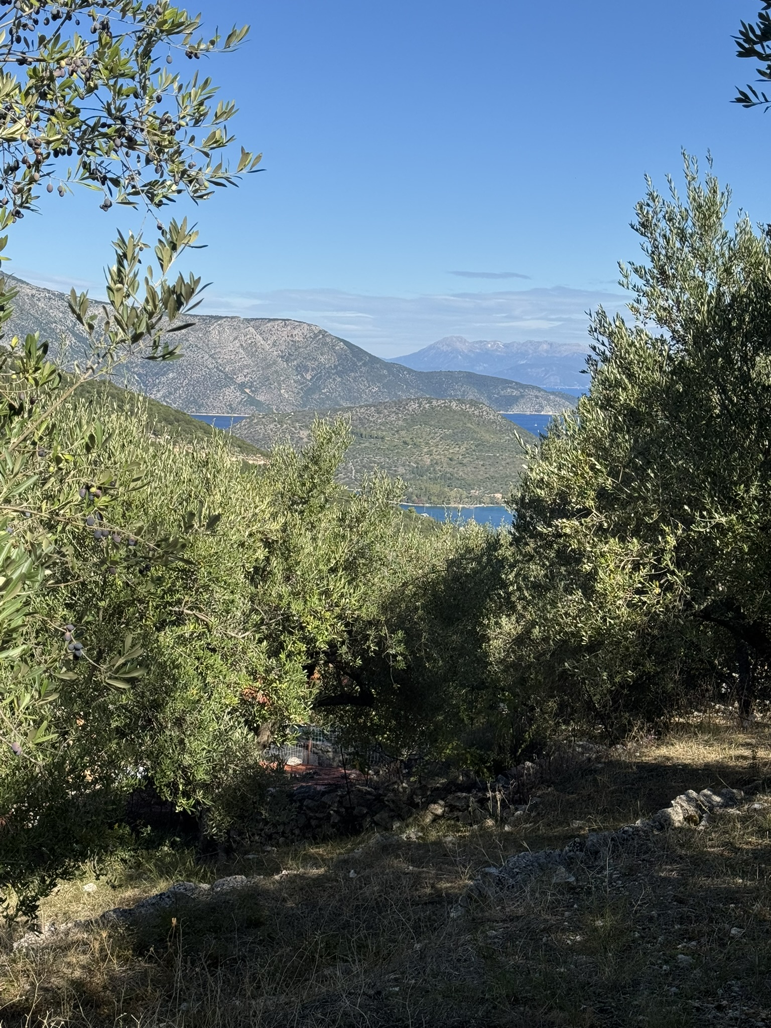 MV Properties, ithaca greece real estate, land for sale in ithaca, IDMV025PER pic 5 Sea views of land for sale in Ithaca Greece, Perachori