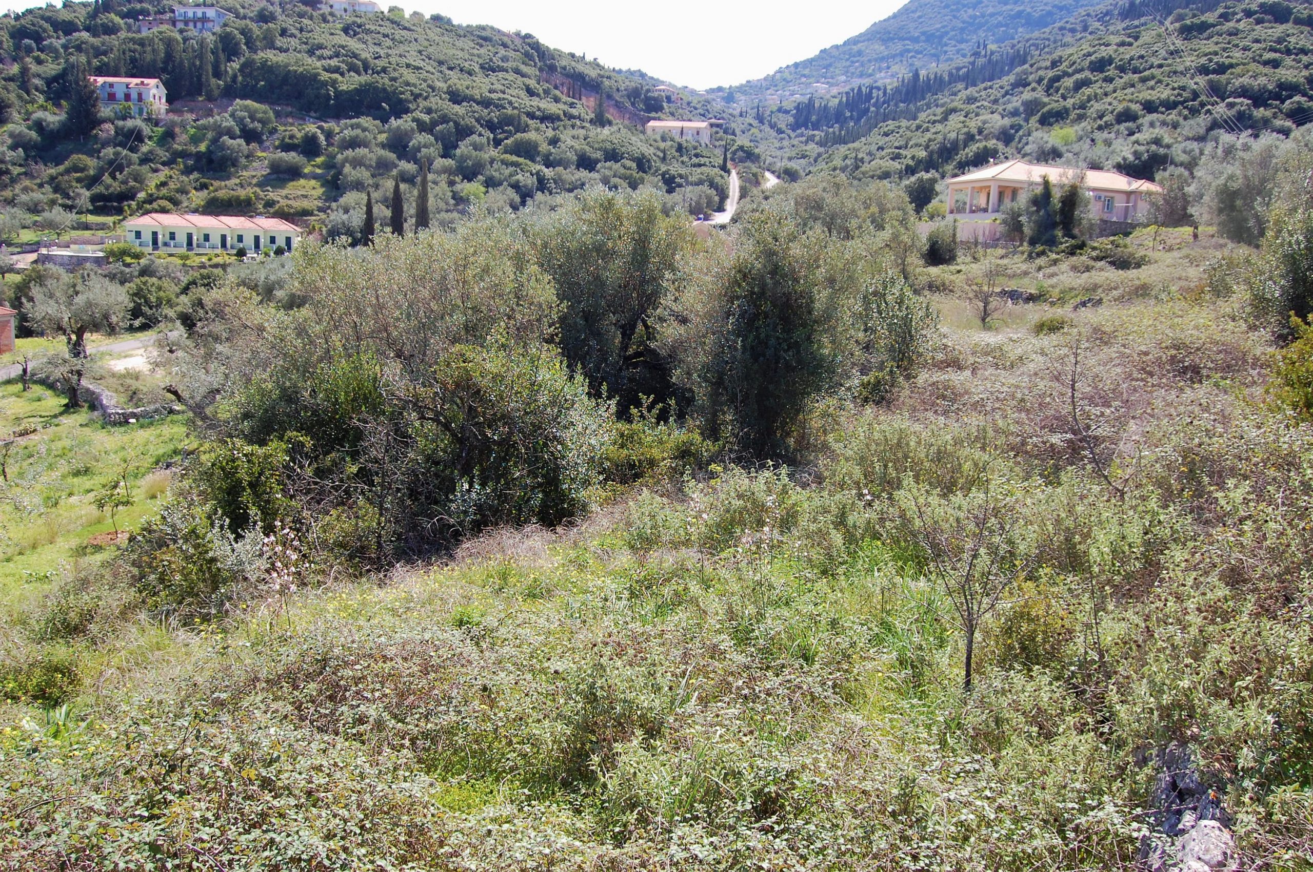 Terrain and landscape of land for sale in Ithaca Greece, Vathi