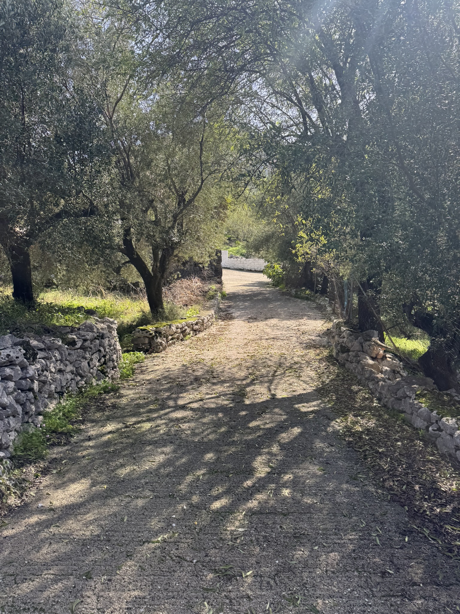 Road access to land for sale in Ithaca Greece, Perachori