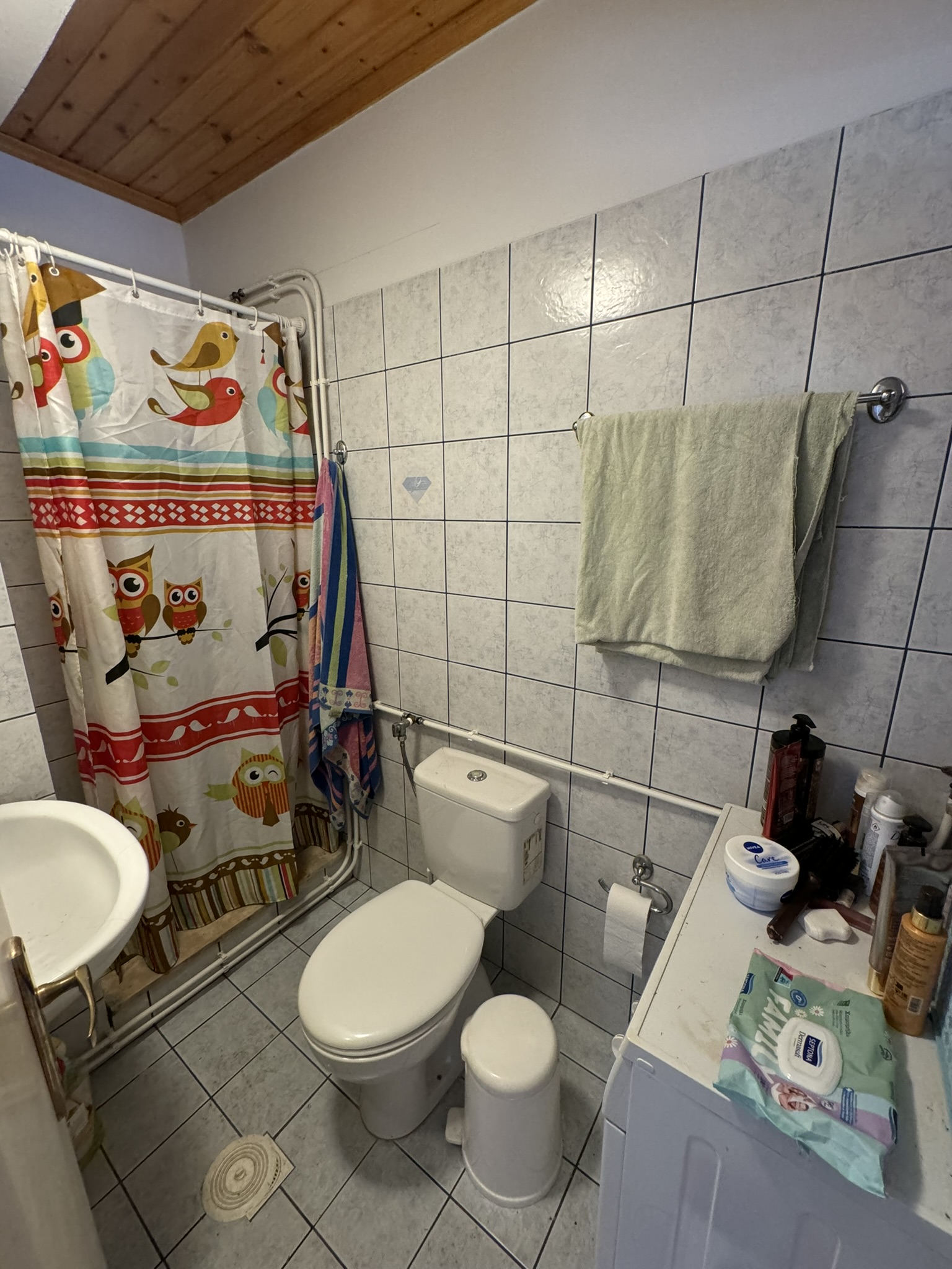 Bathroom of house for sale in Ithaca Greece, Vathi