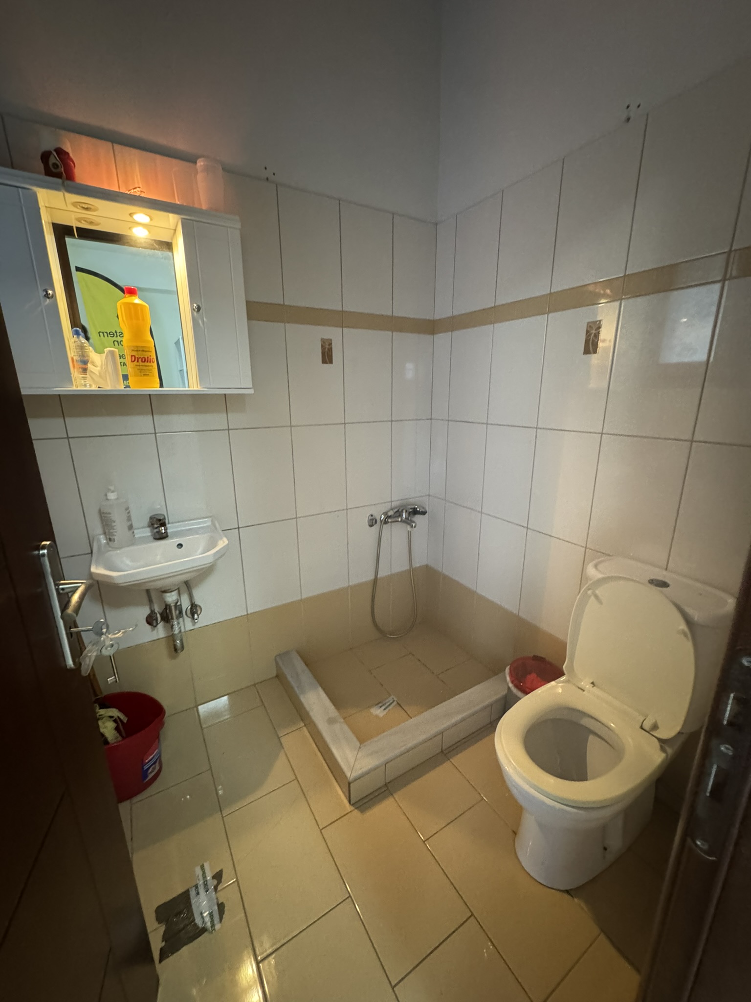 Bathroom of house for sale in Ithaca Greece, Vathi