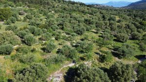 Εναέρια άποψη της γης προς πώληση στην Ιθάκη Ελλάδα, Σταυρός