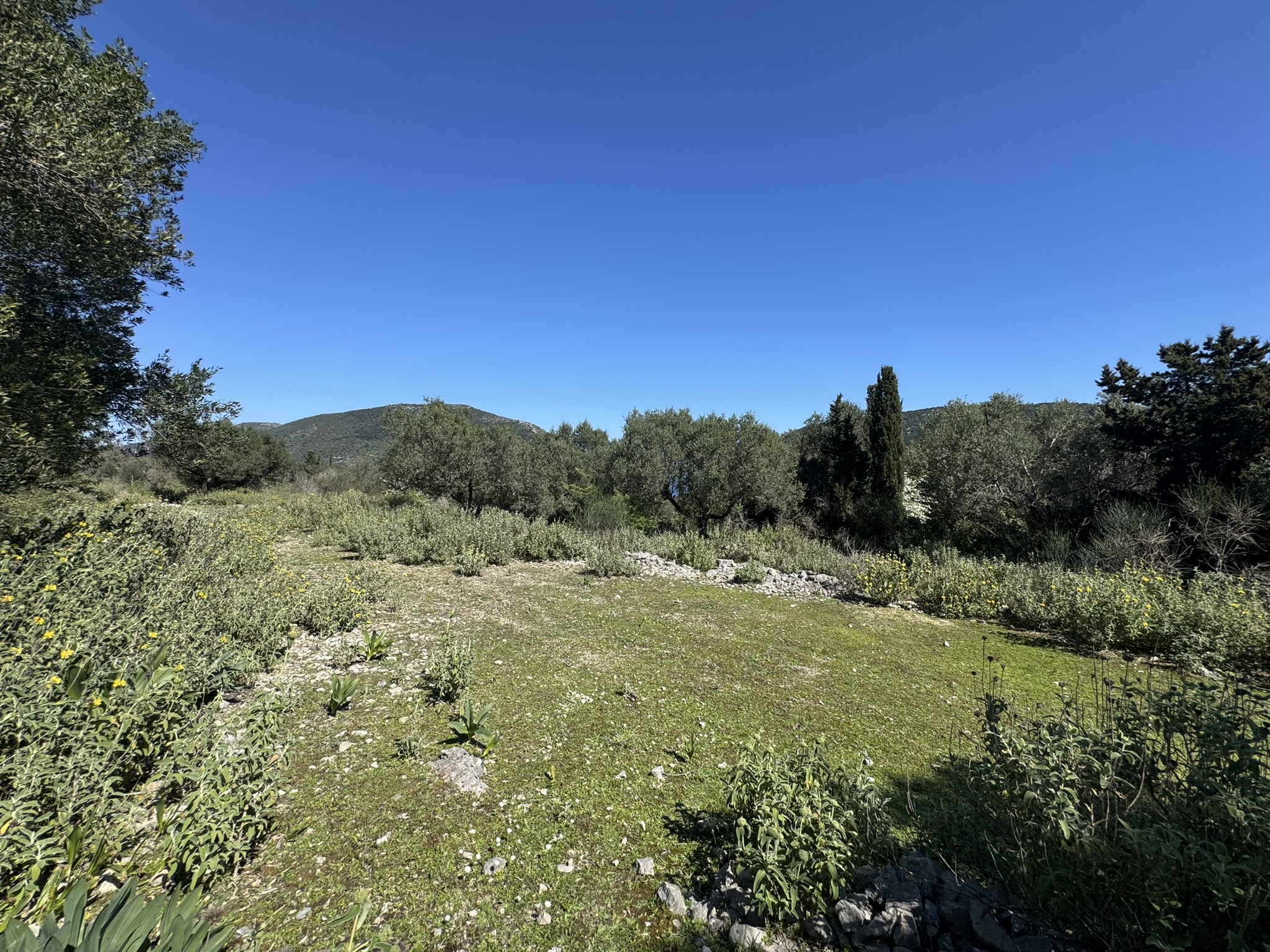 Τοπίο και έδαφος γης προς πώληση στην Ιθάκη, Σταύρος