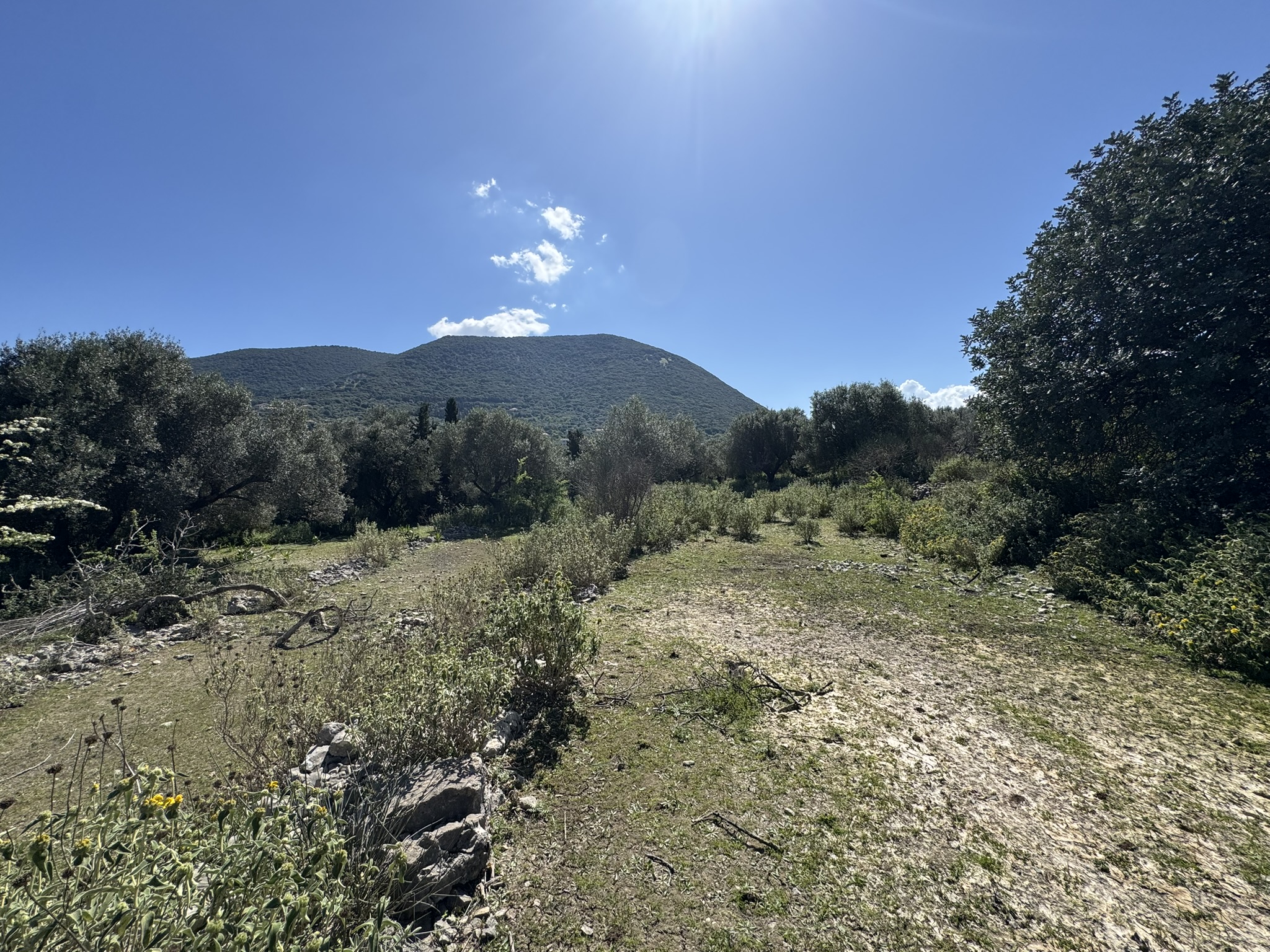 Terrain and landscape of land for sale in Ithaca Greece, Stavros