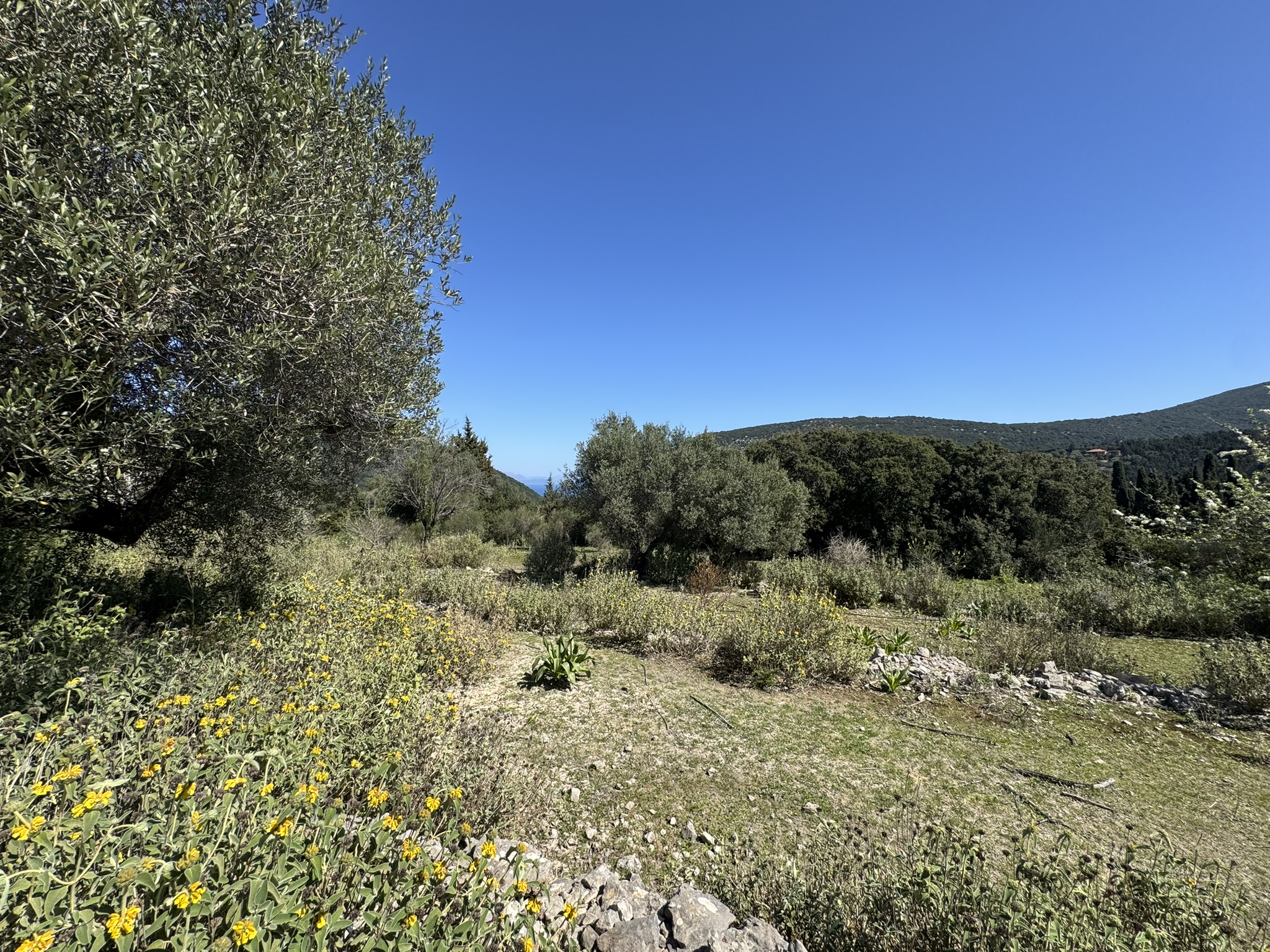 Distant sea views of land for sale in Ithaca Greece, Stavros