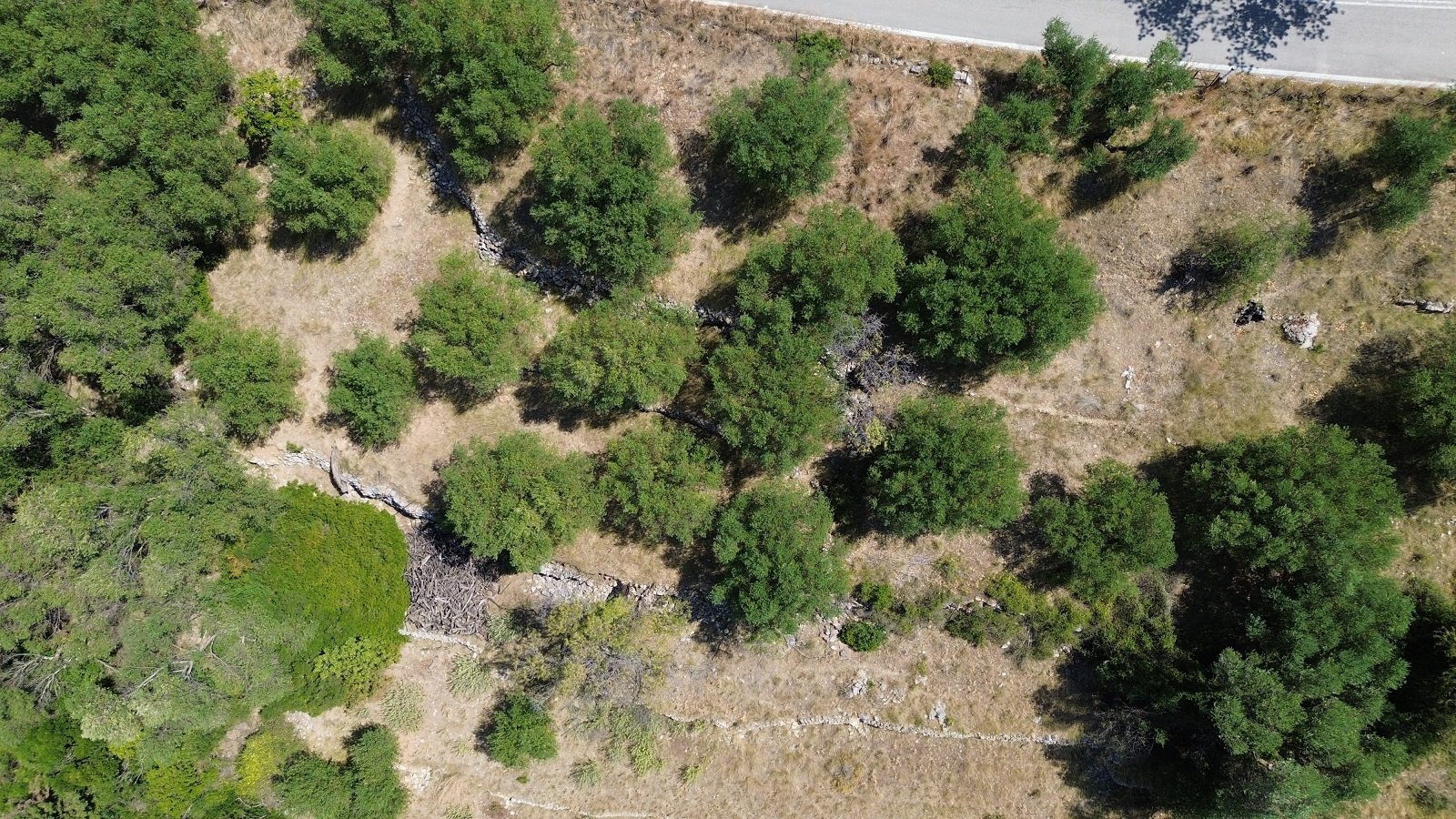 Aerial view of land with building license for sale in Ithaca Greece Piso Aetos