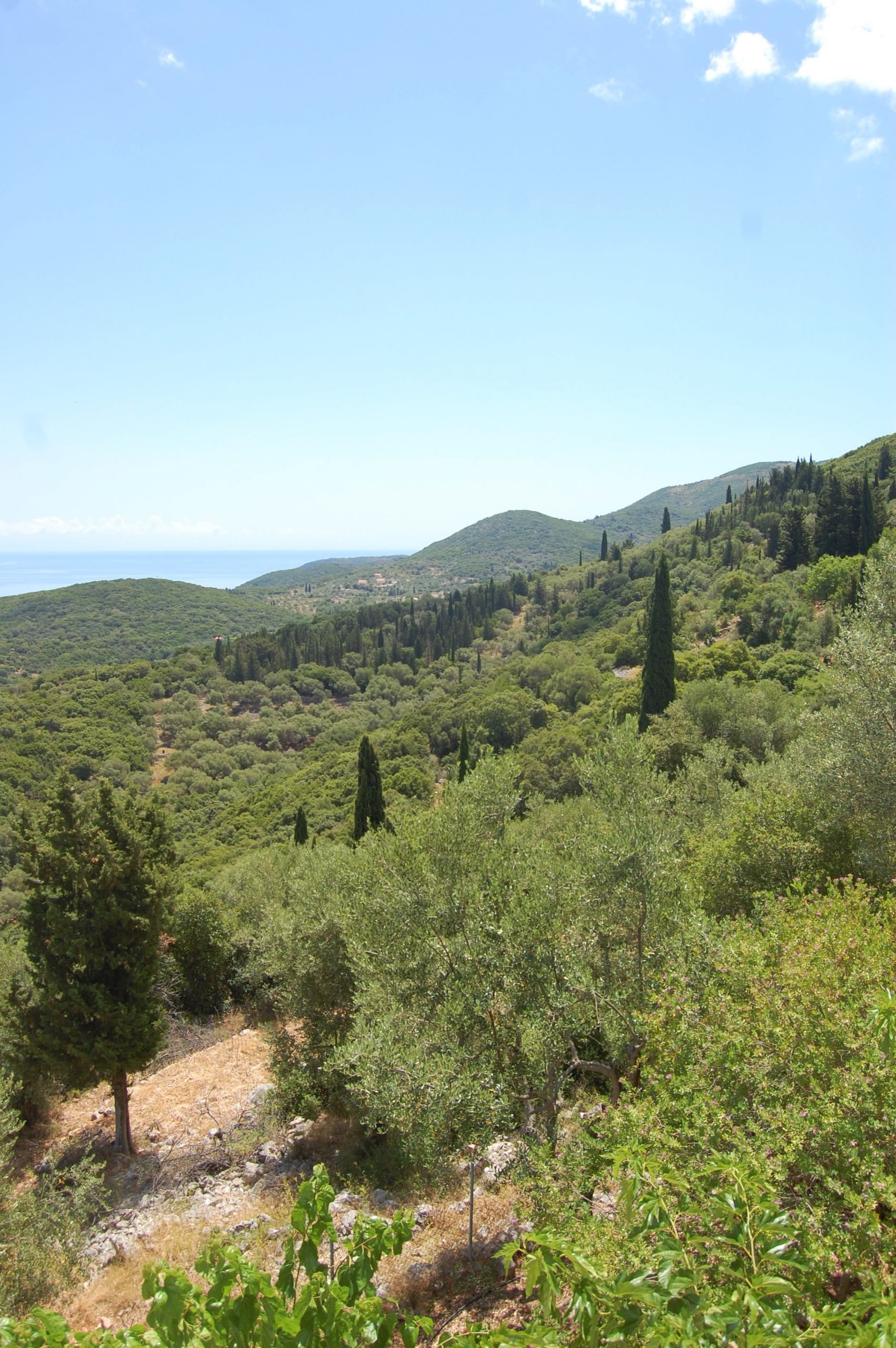 Views from house with pool for sale in Ithaca Greece, Perachori